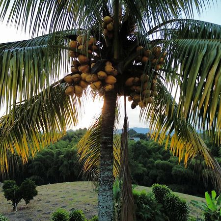 Finca Hotel Los Cocos Монтенегро Екстериор снимка